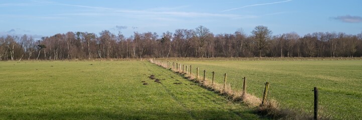 Obraz premium Green field with a fence and bare trees in the background under a clear blue sky during daytime