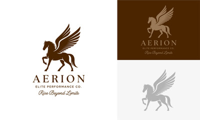 Obraz premium Elegant Pegasus Logo Designs Showcasing Elite Performance on Various Backgrounds from Different Viewpoints