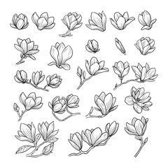 Magnolia Flower Line Art Set – Hand Drawn Botanical Illustration Collection © Kusumaillustration