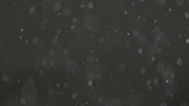 Slow motion falling snow particles on dark background, cinematic winter atmosphere with dense blizzard effect, swirling flakes, bokeh for overlays. ProRes 422, 10 bit ungraded C-LOG2, Slow motion vide
