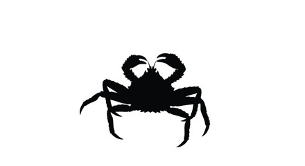 Fototapeta premium A striking black crab form against a white background silhouette