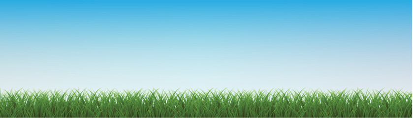 green grass background