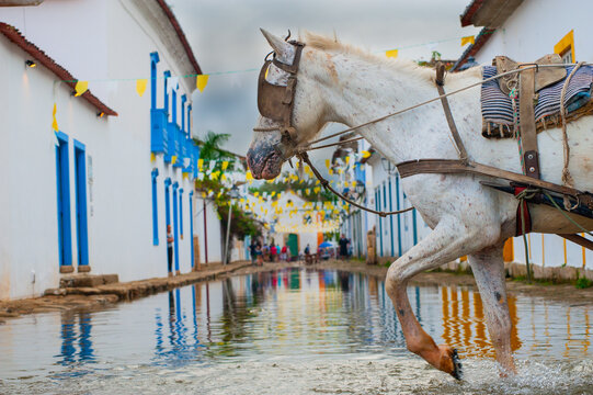 Paraty patrin&ocirc;nio da humanidade, centro hist&oacute;rico, mar&eacute; cheia 