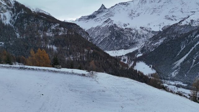 Survole d'un arbre seul, paysages enneig&eacute; avec une vue sur le sommet d'une montagne