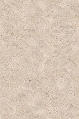 Fototapeta premium Elephant Bone Texture Seamless Pattern. Close-up ivory bone surface detail. Natural organic material design. Realistic elephant bone texture. Detailed macro close-up. Wildlife pattern texture.