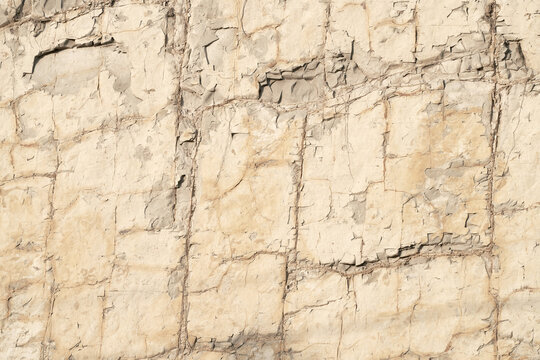 A natural outcrop of rock on the surface. The background rock is fissured argillite.
