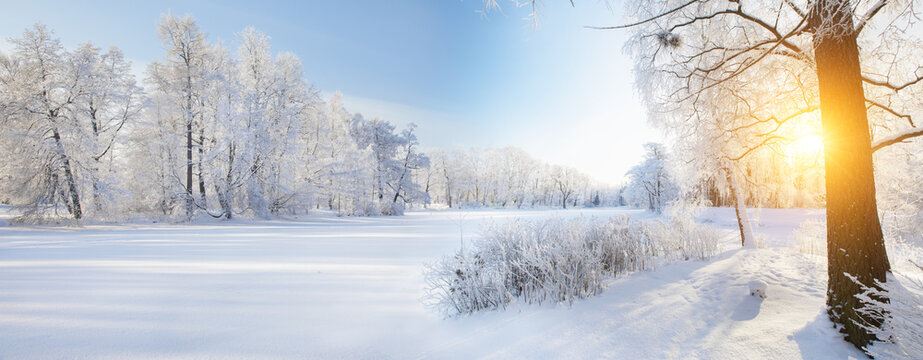 Panorama of beautiful winter park