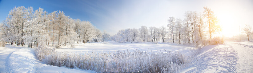Panorama of beautiful winter park
