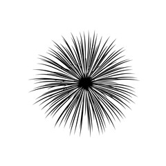 Obraz premium Monochrome radial spiky abstract burst resembling dandelion seedhead.