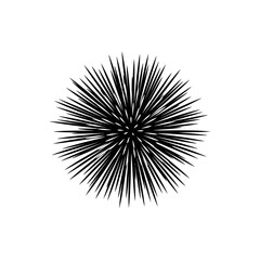 Obraz premium Black radial spiky abstract burst resembling sea urchin silhouette.