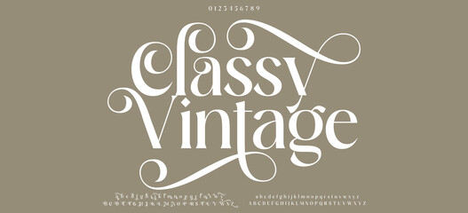 Elegant alphabet letters font. Classic Modern Serif Lettering Minimal Fashion Designs. Typography  decoration fonts for branding, wedding, invitations, logos. vector illustration © Custom Designs