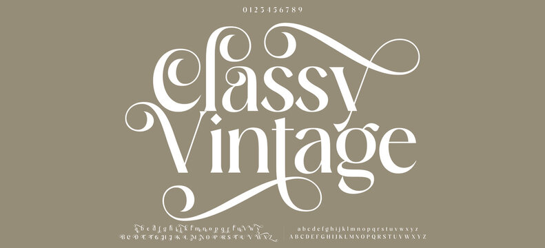 Elegant alphabet letters font. Classic Modern Serif Lettering Minimal Fashion Designs. Typography  decoration fonts for branding, wedding, invitations, logos. vector illustration