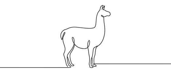 Fototapeta premium Llama animal continuous line drawing minimalist style illustration showcasing the elegant profile of this South American mammal in a modern graphic design.