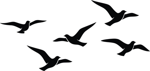 Obraz premium seagulls flying in formation on white background