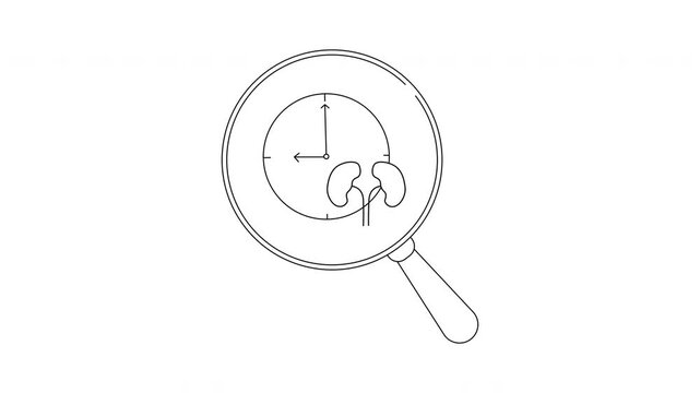 Kidney Health and Time - A Visual Exploration of Renal Function.