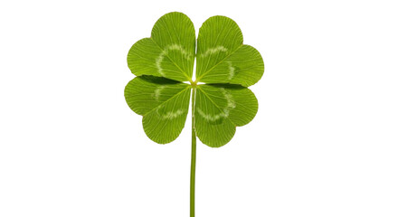 Happy St. Patrick's Day Four Leaf Clover PNG Illustration Green Shamrock Lucky Leaf Stem Symbol for Luck Fortune and Graphic Design