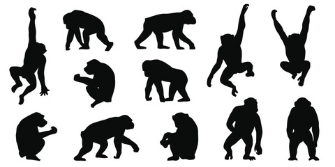 Collection of diverse monkey silhouettes in various dynamic poses, jungle primates in motion © Sorifa