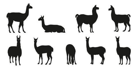Group of black llama silhouettes in various poses and activities on white © Yshha