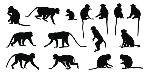 Group of diverse monkey silhouettes in various poses on white background © Yshha