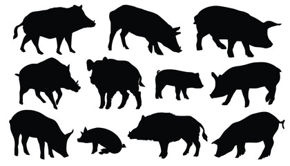 Group of wild boar and piglet silhouettes for wildlife and farm themes © Tabassum