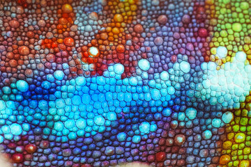 Chameleon skin. Close-up of chameleon skin for background and wallpaper.An exotic animal. Textured background. © Alla