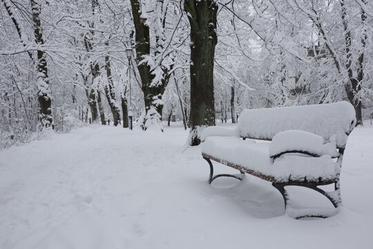 Snow covered bench in winter park landscape
