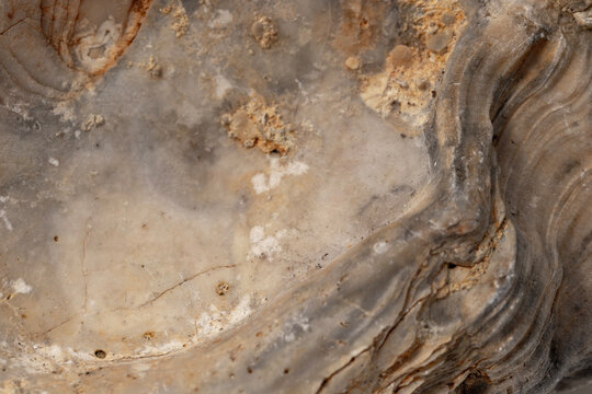 Multilayered natural stone, macro, background.