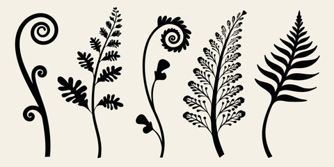 Black silhouettes of various fern and foliage plant designs © Shabita