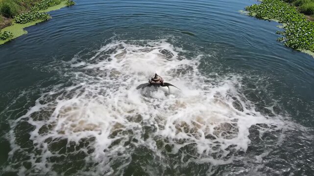 Essential Water Aeration: A surface aerator churns water, creating foam and bubbles, ideal for environmental, industrial, and agricultural projects.