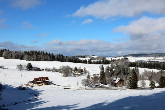 Winterlandschaft auf dem Rinken zwischen Hinterzarten und Feldberg