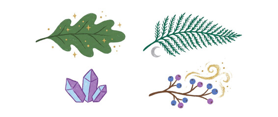 Obraz premium Hand drawn mystical forest set with oak leaf fern crescent moon amethyst crystals and magic berries on a transparent background