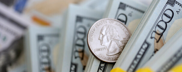 US coin lies among ten thousand dollars packs in stack on big amount of hundred dollar bills © Larysa