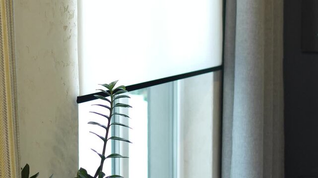 automatic lowering and closing of the roller blind on the window. professional window shading salon, electric drive, servo drive, elite technologies, curtains on the remote control