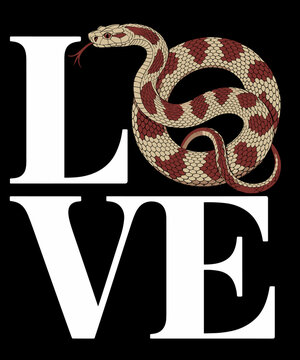Cool Snake Herpetology Rattlesnake Ball Python
