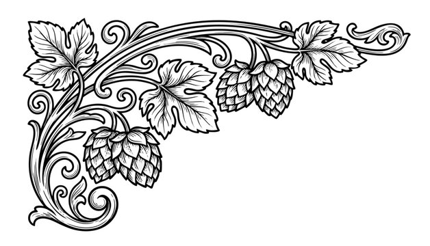 Vintage hop branch with cones and leaves, detailed black and white vector illustration.
