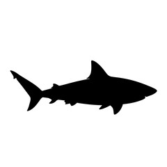 Fototapeta premium Black silhouette of a shark swimming.