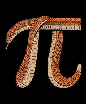 Pi Snake Cool Funny Math Reptile Lover Animal College Retro