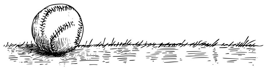 Hand drawn sketch of a baseball sitting on a grassy field in vintage style © Kaz