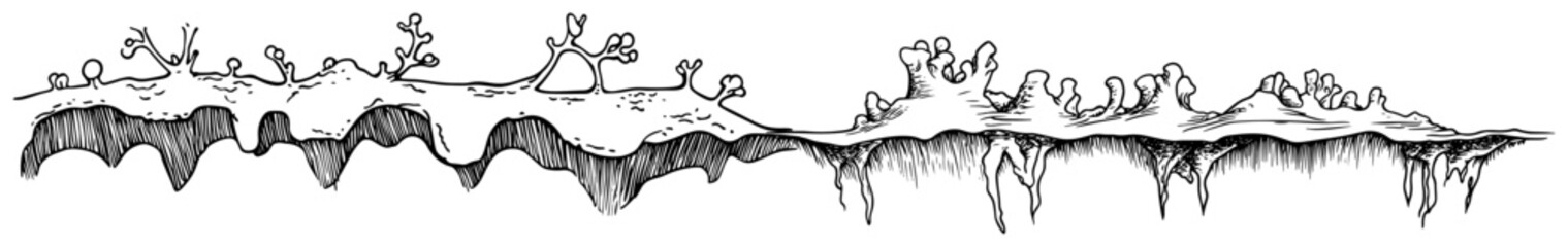 Hand drawn sketch of an organic terrain edge with hanging icicles and small sprouting moss growth © Kaz