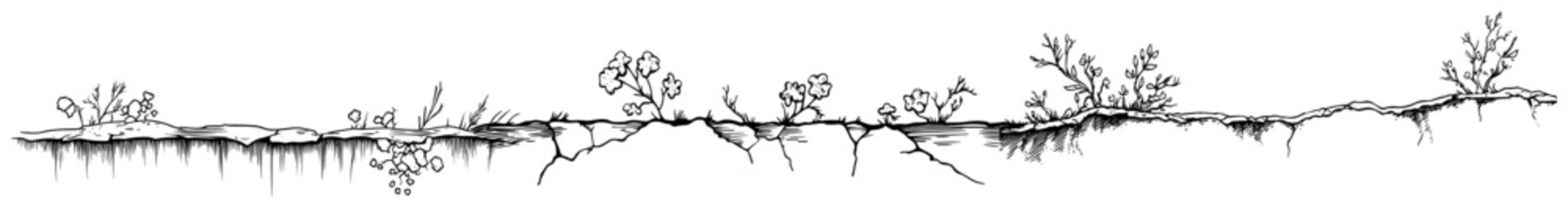 Minimalist architectural sketch of soil ground layer with roots and small plants © Kaz