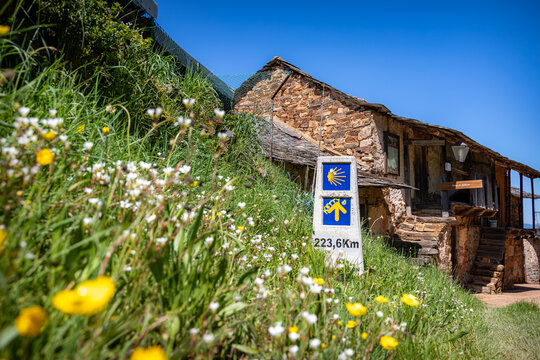 Yellow wildflowers bloom around a concrete milestone showing 223.6 km to go, identifying the pilgrimage trail toward Santiago de Compostela in the village of Riego de Ambros, Spain