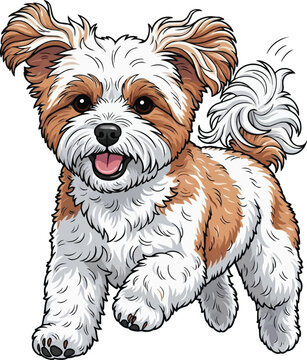 Zuchon dog running happy playful action movement vector
