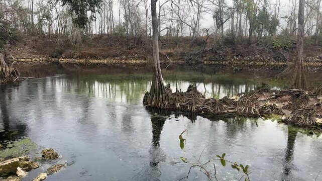 The Confluence of Madison Blue Springs Run and the Withlacoochee River, Madison Blue Springs State Park, Florida
