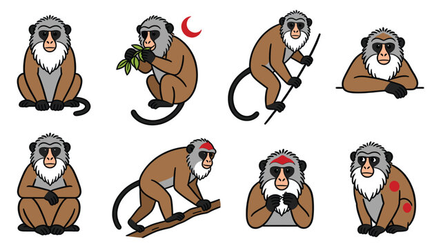 Collection of Global Primate Species Element Pack monkeys pose and activity illustrations in various settings and emotions