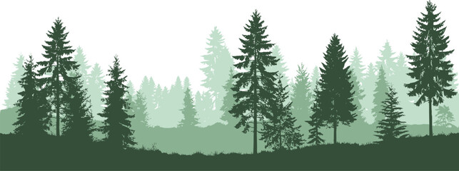 Silhouette of a Dense Pine Forest Landscape Keywords: forest, pine trees, evergreen, silhouette © Priyom