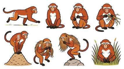 Various primate species in different poses and activities depicted in vector illustrations © Ube