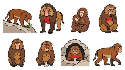 Diverse primate species pack featuring monkeys in various poses and activities © Ube