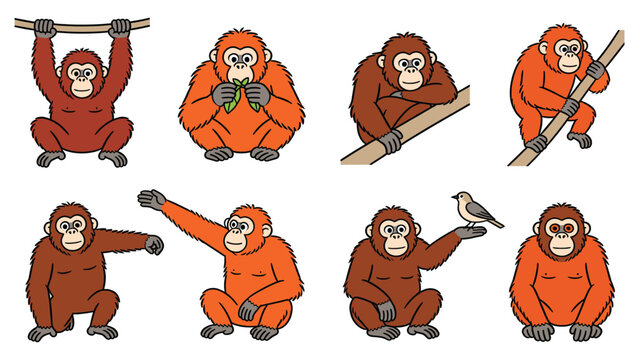 Various primates posing and engaging in activity globally, showcasing different species and behaviors in a vector illustration.