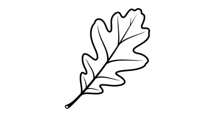 Obraz premium Oak Leaf Silhouette, Simple Line Art, Autumn Symbol, Isolated on White Background