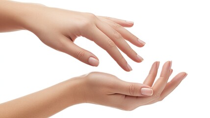 Two delicate female hands with natural manicured nails reaching towards each other against a white background